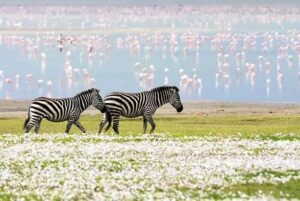 Lake Nakuru National Park