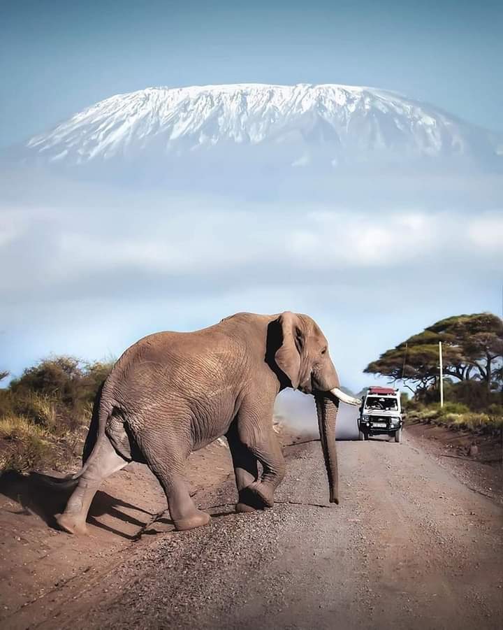 Kenya 6 Days Wildlife Safari