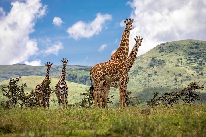 Arusha National Park