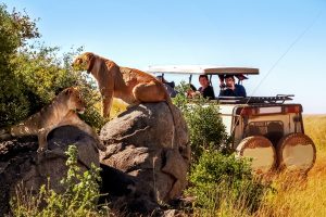 8 Days Group joining Tour in Tanzania