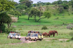 8 Days Wildlife Safari in Kenya and Tanzania