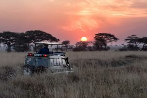 6 Days Family Safari in Tanzania