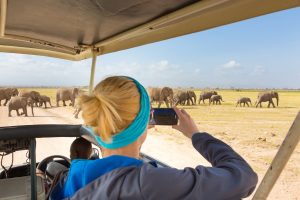 12 Days Southern Circuit Wildlife Safari in Tanzania