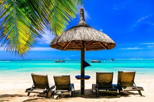 7 Days Wildlife & Beach Safari in Tanzania