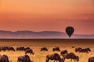 8 Days Serengeti and Mountain Gorilla Safari